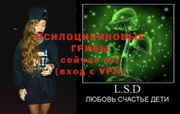PSILOCYBIN Волосово
