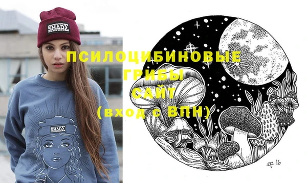 apvp Россошь