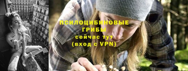 стаф Абинск