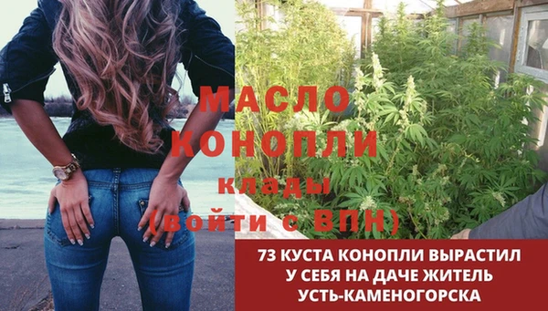 гидра Рославль